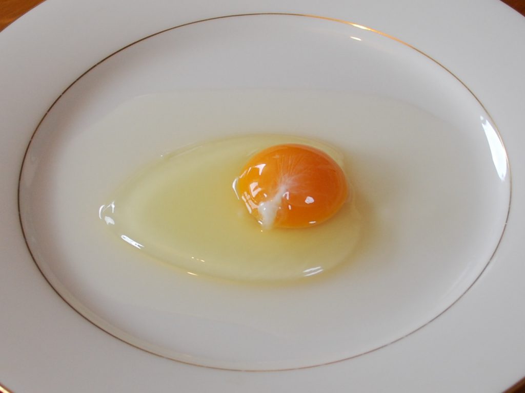 Chicken Egg01 Monovular