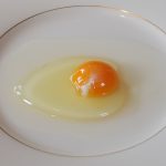 Chicken Egg01 Monovular