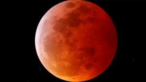  124679036 Bloodmoonreutersca